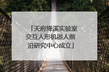 天府绛溪实验室交互人形机器人前沿研究中心成立