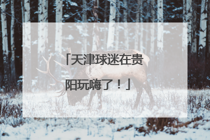 天津球迷在贵阳玩嗨了！