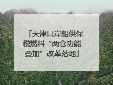天津口岸船供保税燃料“两仓功能叠加”改革落地