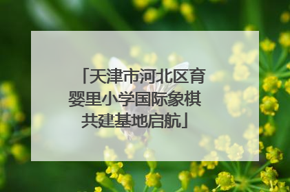 天津市河北区育婴里小学国际象棋共建基地启航