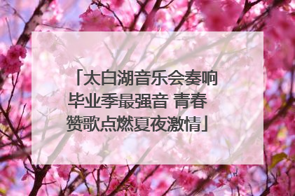 太白湖音乐会奏响毕业季最强音 青春赞歌点燃夏夜激情