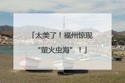 太美了！福州惊现“萤火虫海”！
