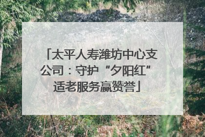 太平人寿潍坊中心支公司：守护“夕阳红” 适老服务赢赞誉