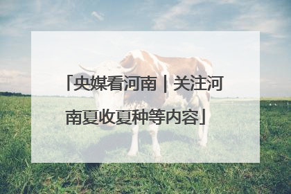 央媒看河南｜关注河南夏收夏种等内容