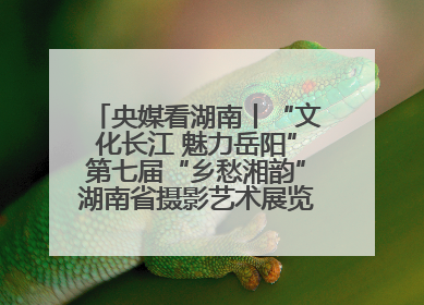 央媒看湖南丨“文化长江 魅力岳阳”第七届“乡愁湘韵”湖南省摄影艺术展览盛大启幕