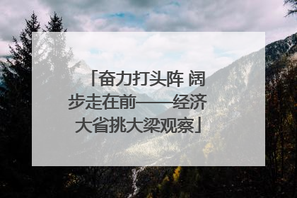 奋力打头阵 阔步走在前——经济大省挑大梁观察