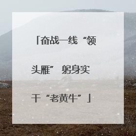 奋战一线“领头雁” 躬身实干“老黄牛”