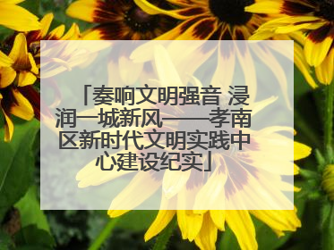 奏响文明强音 浸润一城新风——孝南区新时代文明实践中心建设纪实