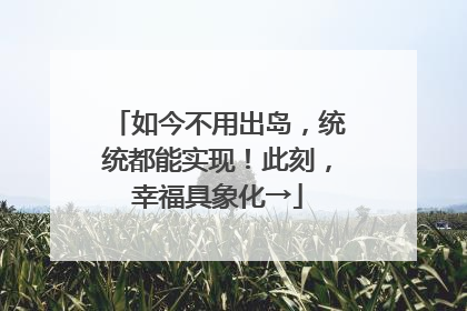 如今不用出岛，统统都能实现！此刻，幸福具象化→