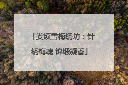 娄烦雪梅绣坊：针绣梅魂 锦缎凝香