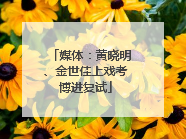 媒体：黄晓明、金世佳上戏考博进复试