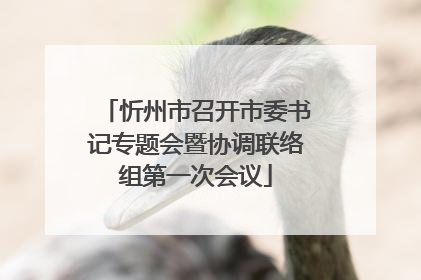 忻州市召开市委书记专题会暨协调联络组第一次会议