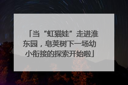当“虹猫娃”走进淮东园，皂荚树下一场幼小衔接的探索开始啦