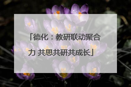 德化：教研联动聚合力 共思共研共成长