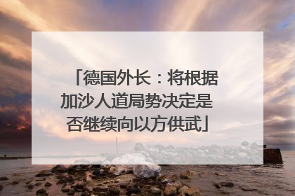德国外长：将根据加沙人道局势决定是否继续向以方供武