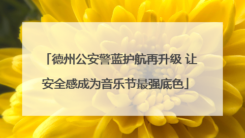 德州公安警蓝护航再升级 让安全感成为音乐节最强底色