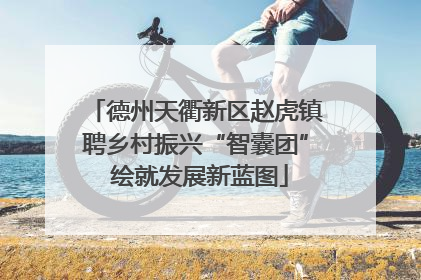 德州天衢新区赵虎镇聘乡村振兴“智囊团” 绘就发展新蓝图
