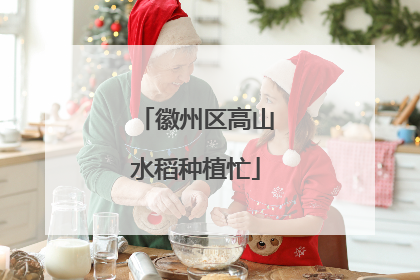 徽州区高山水稻种植忙