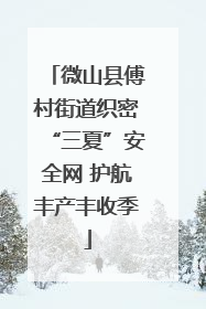 微山县傅村街道织密“三夏”安全网 护航丰产丰收季