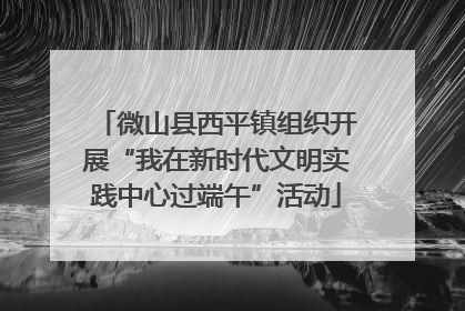 微山县西平镇组织开展“我在新时代文明实践中心过端午”活动