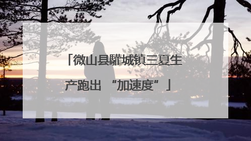 微山县驩城镇三夏生产跑出 “加速度”