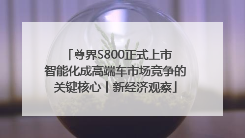 尊界S800正式上市 智能化成高端车市场竞争的关键核心丨新经济观察