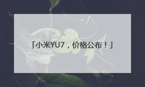 小米YU7，价格公布！