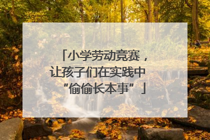 小学劳动竞赛，让孩子们在实践中“偷偷长本事”
