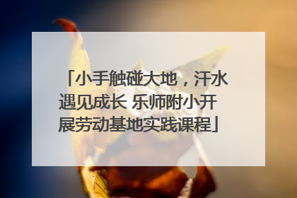小手触碰大地，汗水遇见成长 乐师附小开展劳动基地实践课程