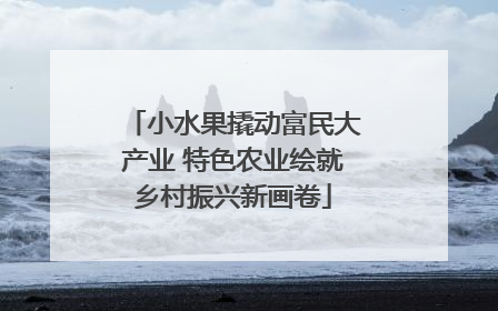 小水果撬动富民大产业 特色农业绘就乡村振兴新画卷