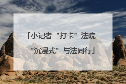 小记者“打卡”法院 “沉浸式”与法同行