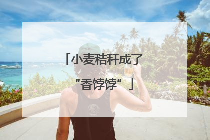 小麦秸秆成了“香饽饽”
