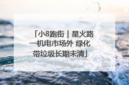 小8跑街｜星火路一机电市场外 绿化带垃圾长期未清