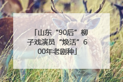 山东“90后”柳子戏演员“焕活”600年老剧种