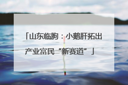 山东临朐：小鹅肝拓出产业富民“新赛道”