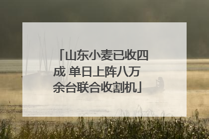 山东小麦已收四成 单日上阵八万余台联合收割机