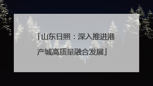 山东日照：深入推进港产城高质量融合发展