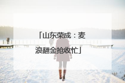 山东荣成：麦浪翻金抢收忙