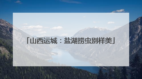 山西运城：盐湖捞虫别样美
