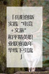 岳阳创新实践“电竞+文旅” 和平精英职业联赛嘉年华线下引流