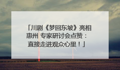 川剧《梦回东坡》亮相惠州 专家研讨会点赞：直接走进观众心里！