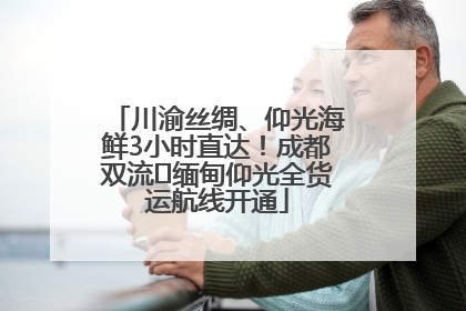 川渝丝绸、仰光海鲜3小时直达！成都双流⇌缅甸仰光全货运航线开通