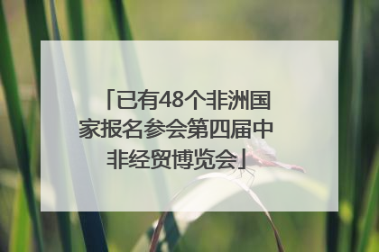 已有48个非洲国家报名参会第四届中非经贸博览会