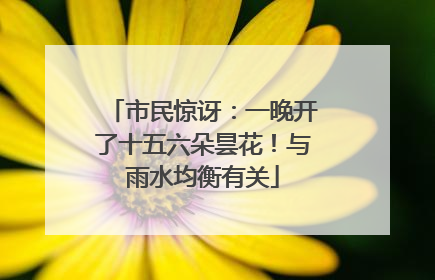 市民惊讶：一晚开了十五六朵昙花！与雨水均衡有关