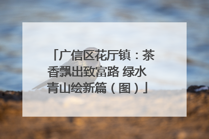广信区花厅镇：茶香飘出致富路 绿水青山绘新篇（图）