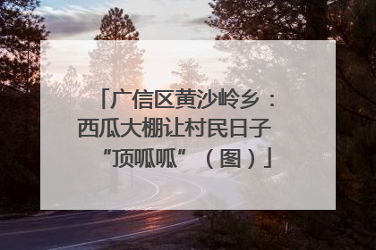 广信区黄沙岭乡：西瓜大棚让村民日子“顶呱呱”（图）