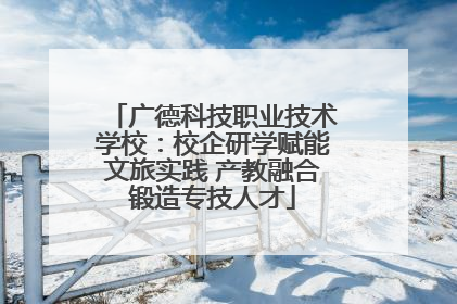 广德科技职业技术学校：校企研学赋能文旅实践 产教融合锻造专技人才