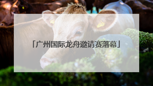 广州国际龙舟邀请赛落幕