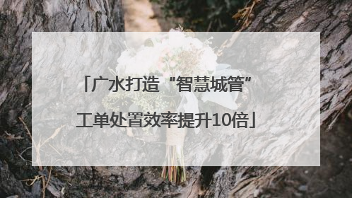广水打造“智慧城管” 工单处置效率提升10倍