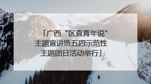 广西“区直青年说”主题宣讲暨五四示范性主题团日活动举行